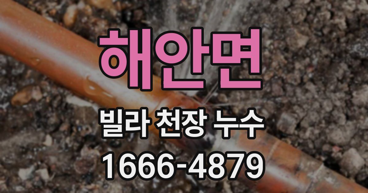 해안면 빌라 천장 누수