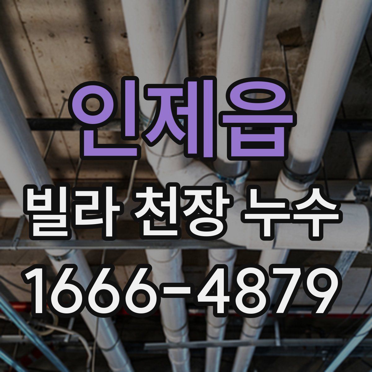 인제읍 빌라 천장 누수