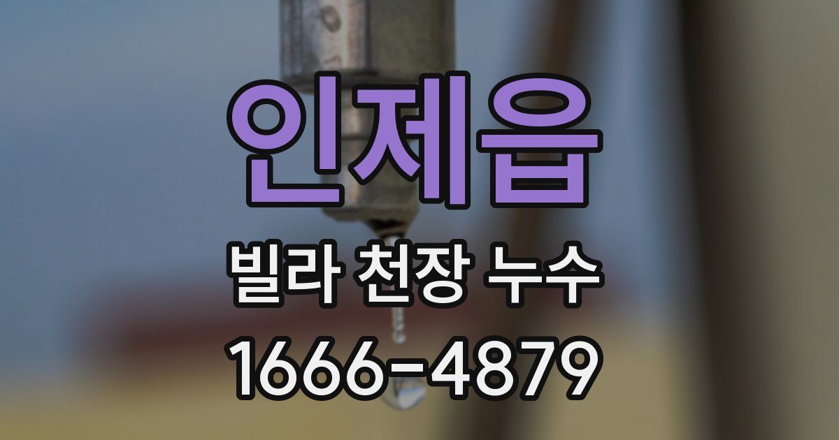 인제읍 빌라 천장 누수