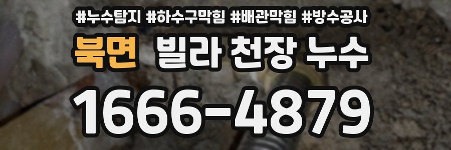 북면 빌라 천장 누수