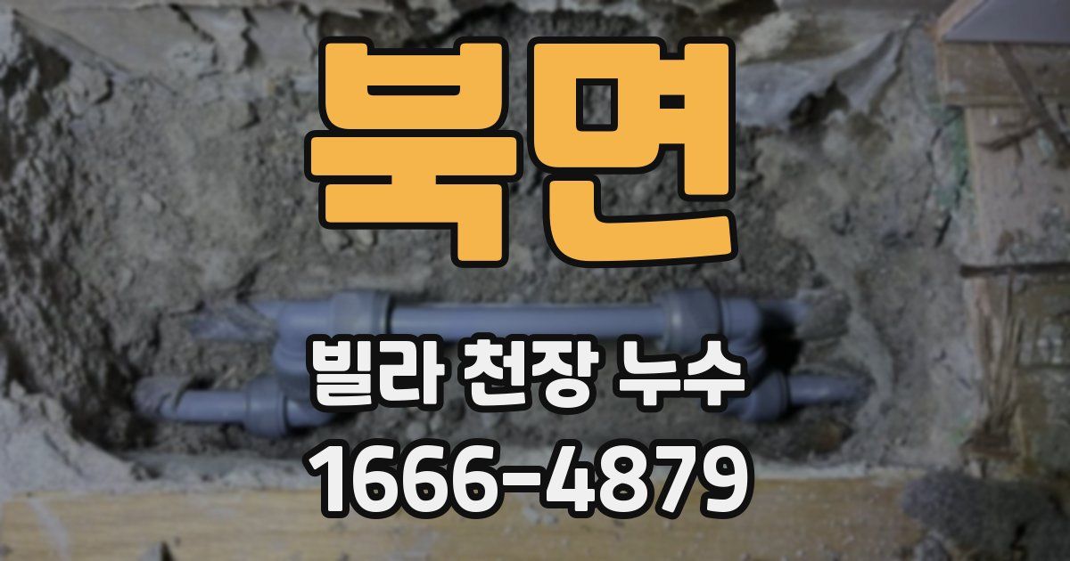 북면 빌라 천장 누수