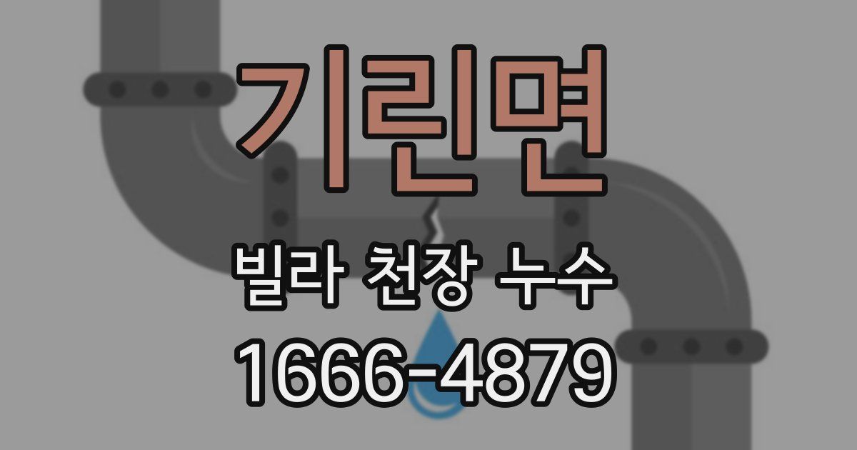 기린면 빌라 천장 누수