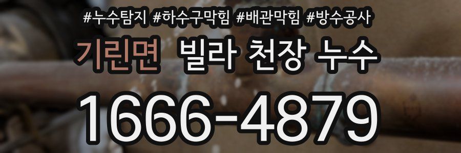 기린면 빌라 천장 누수