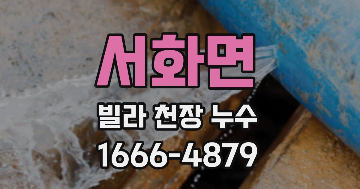 서화면 빌라 천장 누수