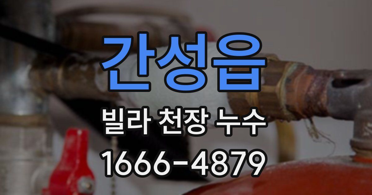 간성읍 빌라 천장 누수