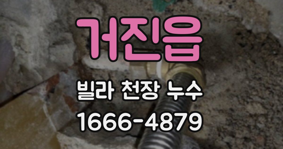 거진읍 빌라 천장 누수
