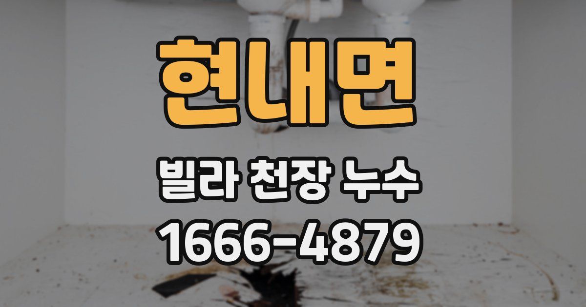 현내면 빌라 천장 누수