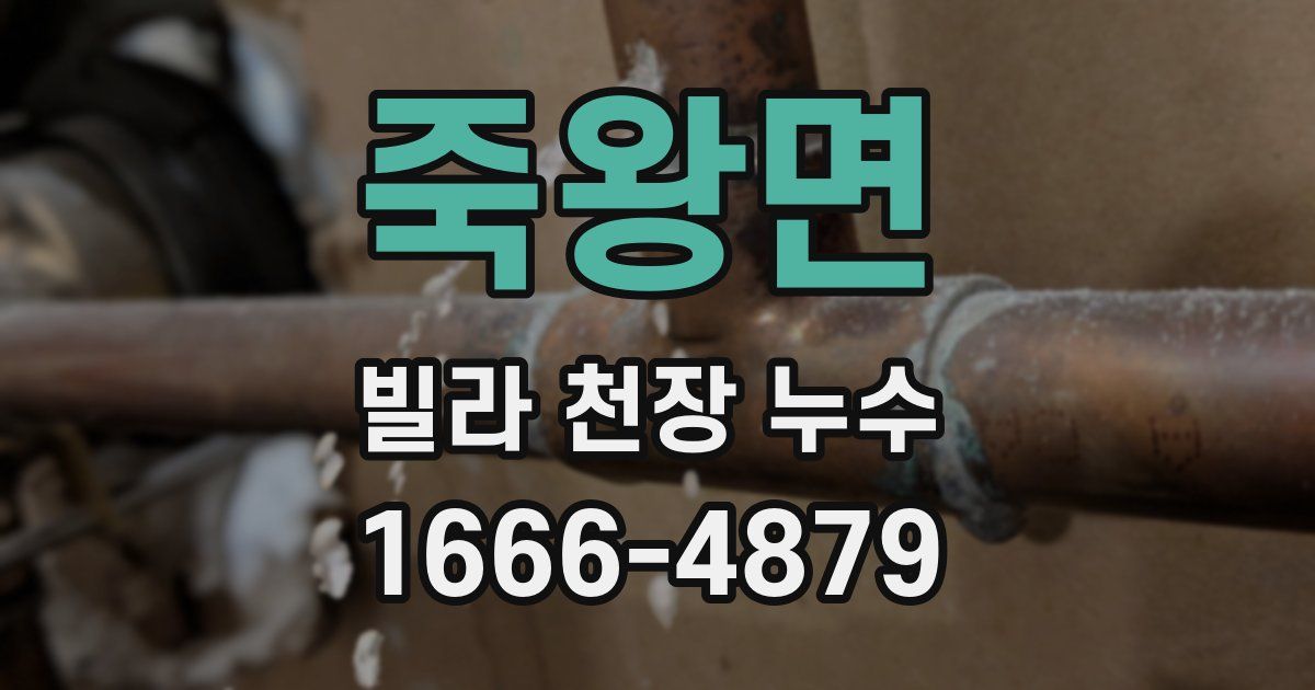 죽왕면 빌라 천장 누수