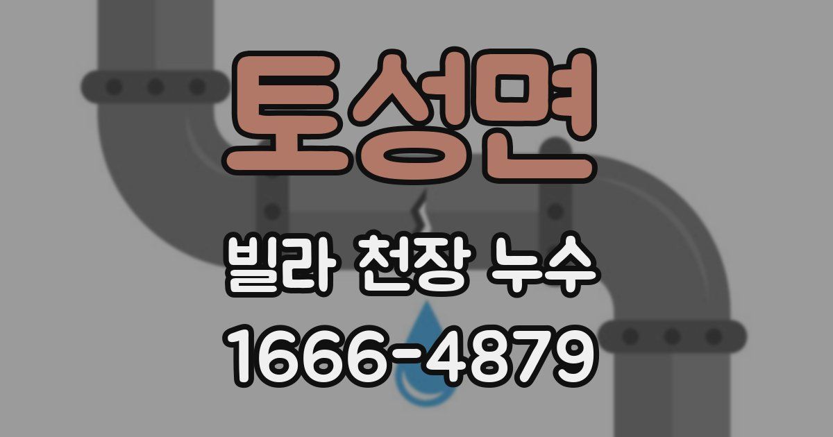 토성면 빌라 천장 누수