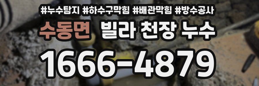 수동면 빌라 천장 누수