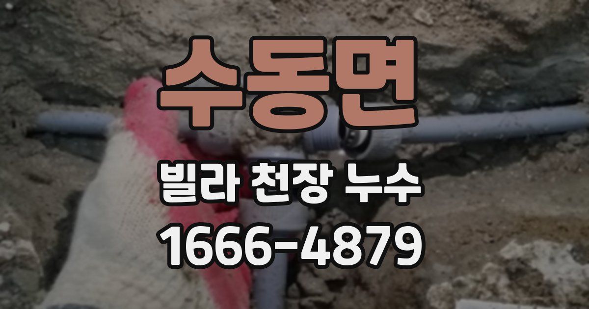 수동면 빌라 천장 누수