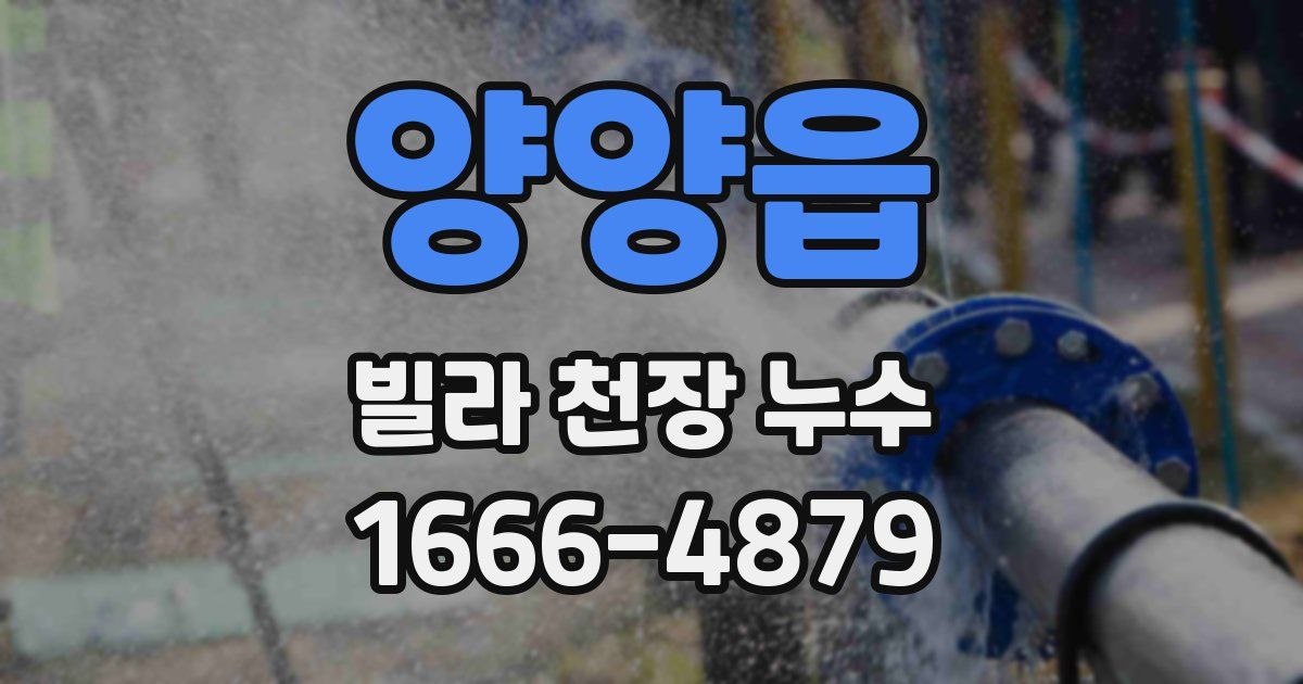 양양읍 빌라 천장 누수