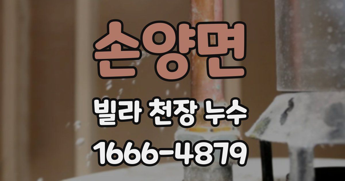 손양면 빌라 천장 누수