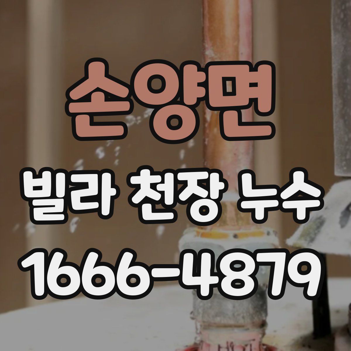 손양면 빌라 천장 누수