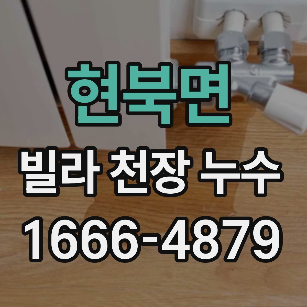 현북면 빌라 천장 누수