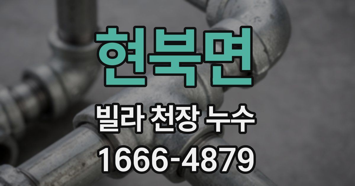 현북면 빌라 천장 누수