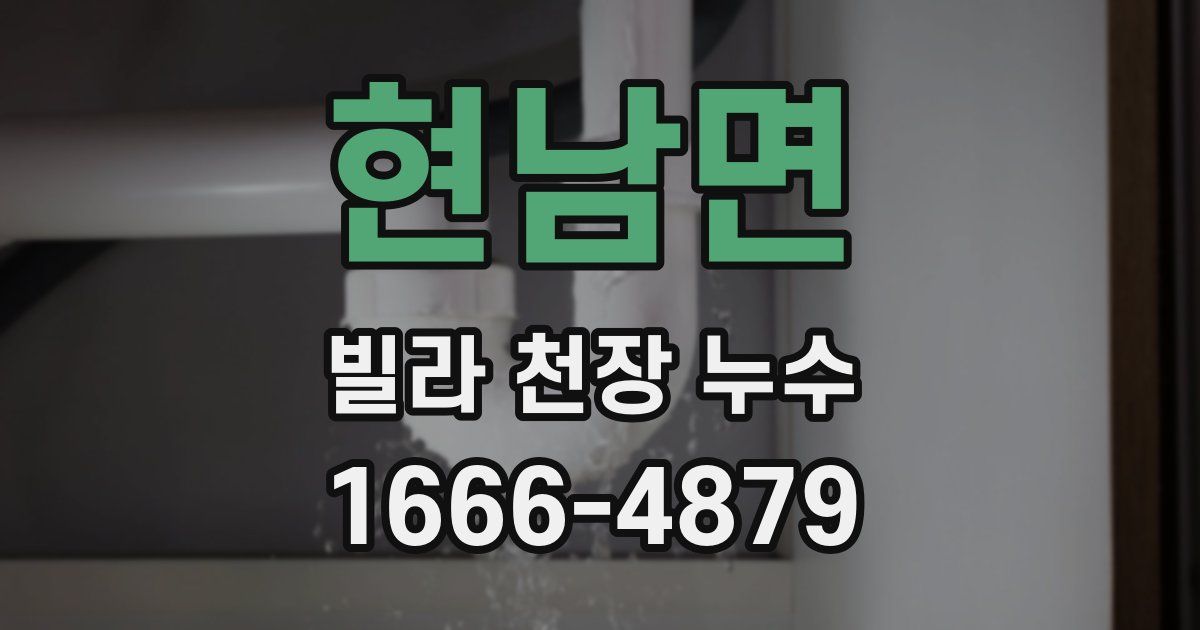 현남면 빌라 천장 누수