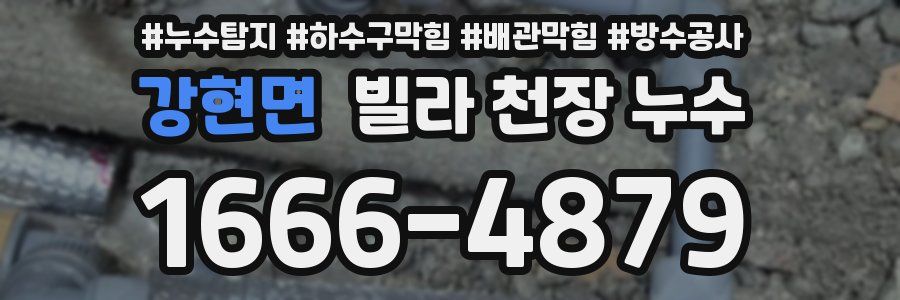 강현면 빌라 천장 누수