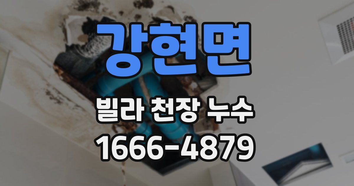 강현면 빌라 천장 누수