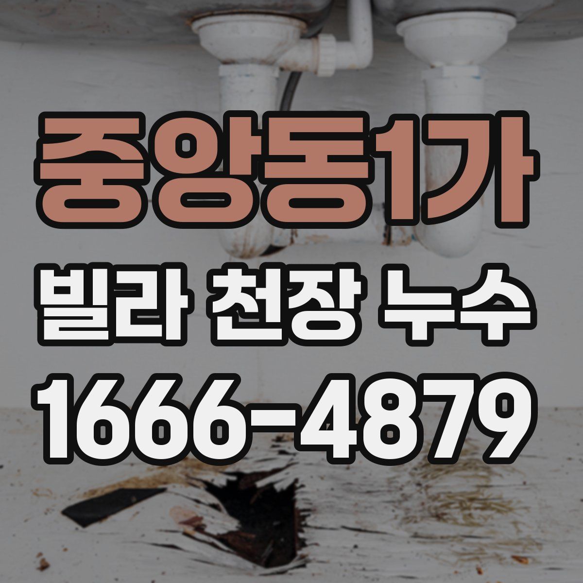 중앙동1가 빌라 천장 누수