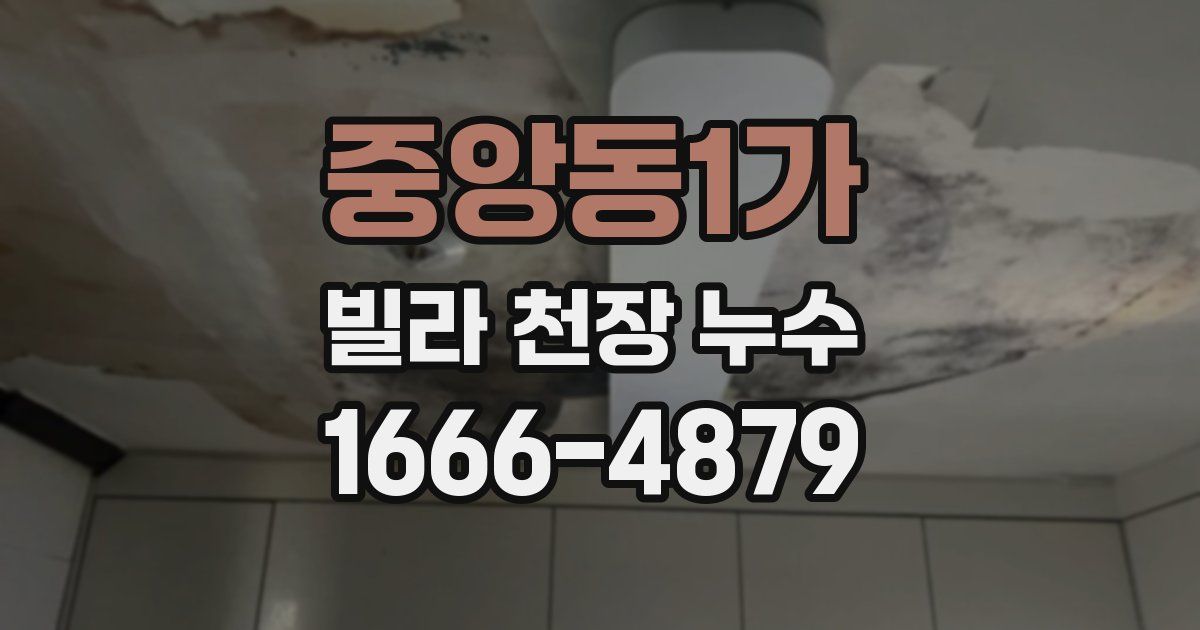 중앙동1가 빌라 천장 누수