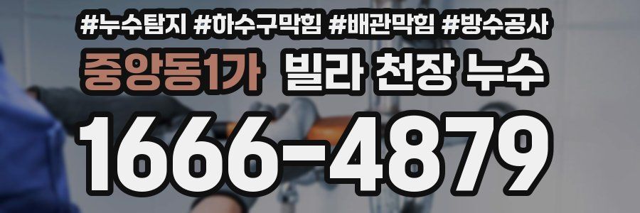중앙동1가 빌라 천장 누수