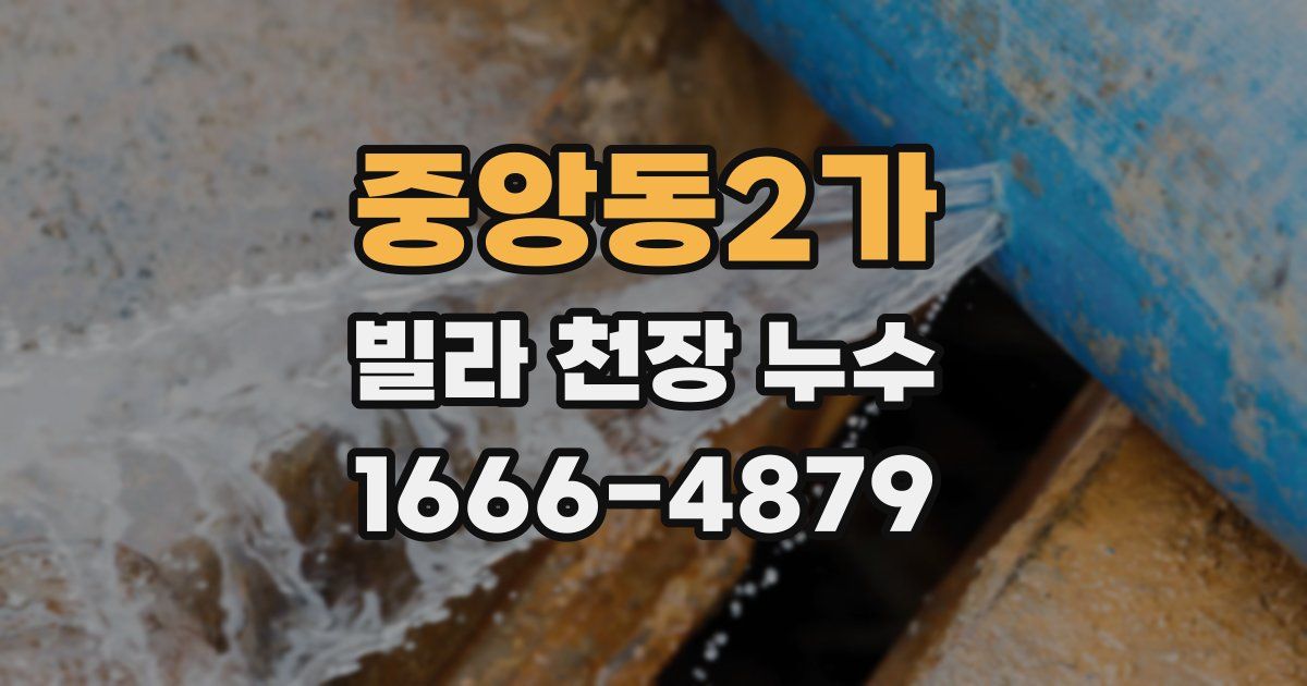 중앙동2가 빌라 천장 누수