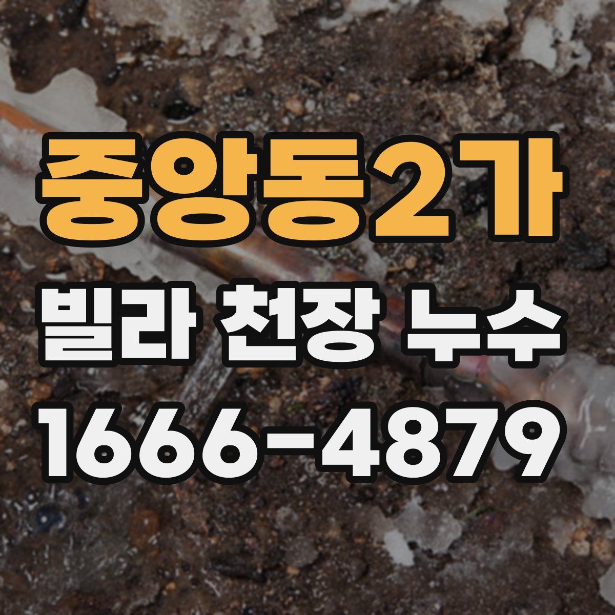 중앙동2가 빌라 천장 누수