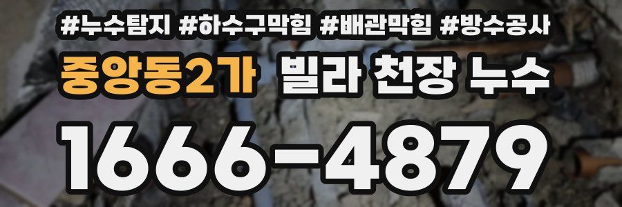 중앙동2가 빌라 천장 누수