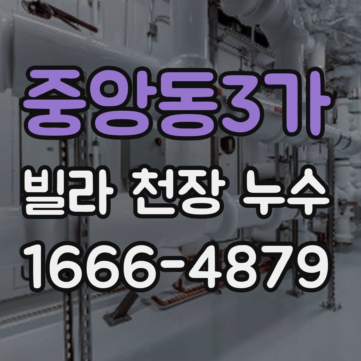 중앙동3가 빌라 천장 누수