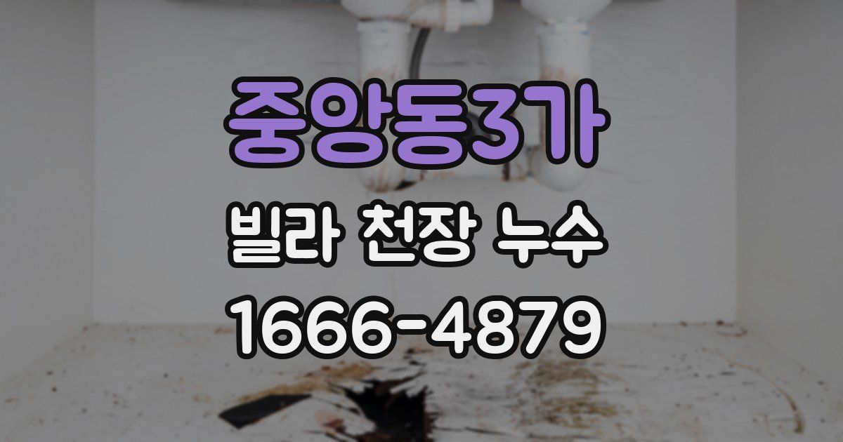중앙동3가 빌라 천장 누수