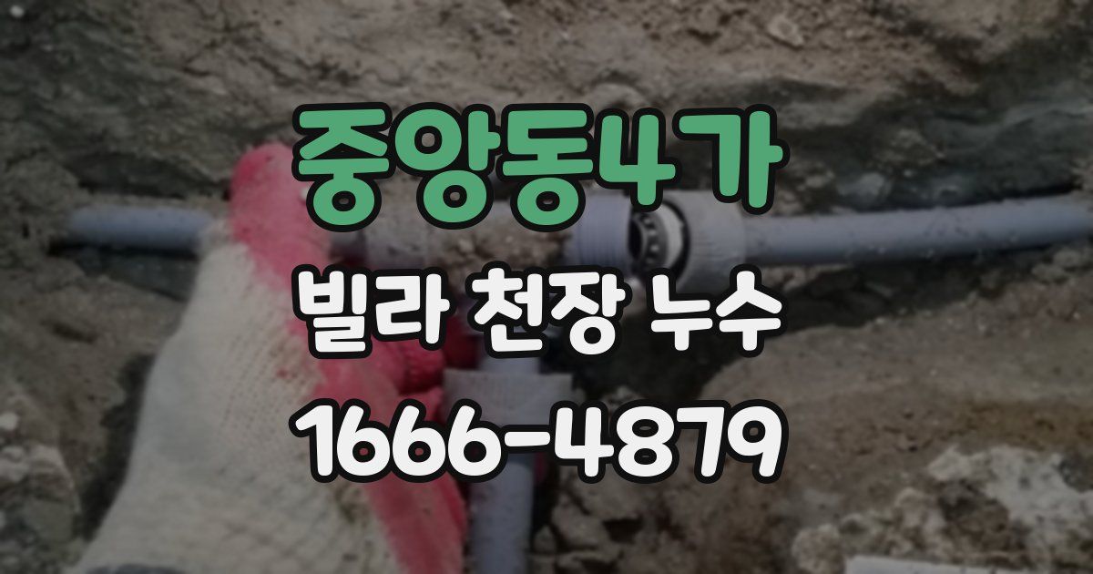 중앙동4가 빌라 천장 누수