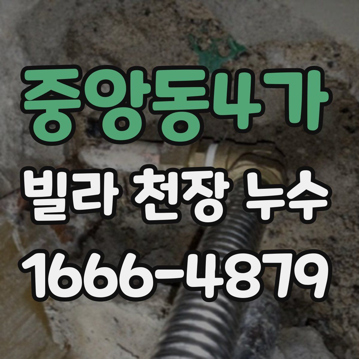 중앙동4가 빌라 천장 누수