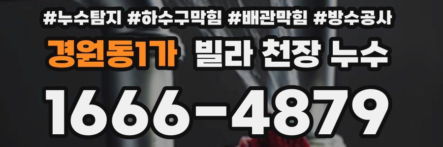 경원동1가 빌라 천장 누수
