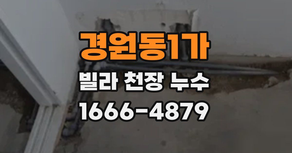 경원동1가 빌라 천장 누수