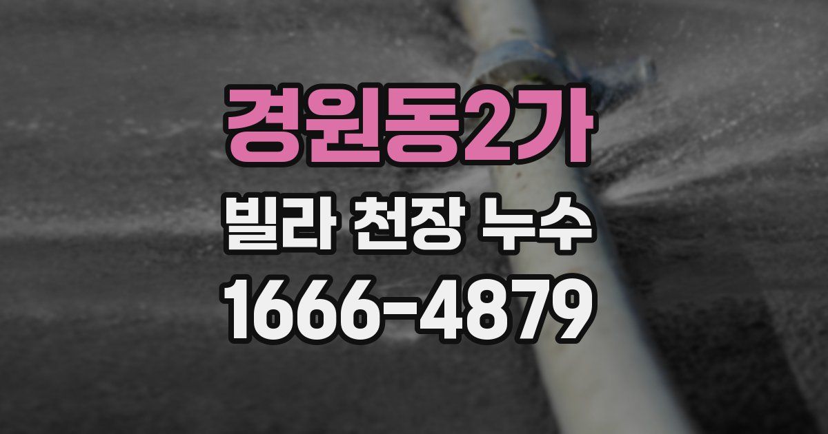 경원동2가 빌라 천장 누수