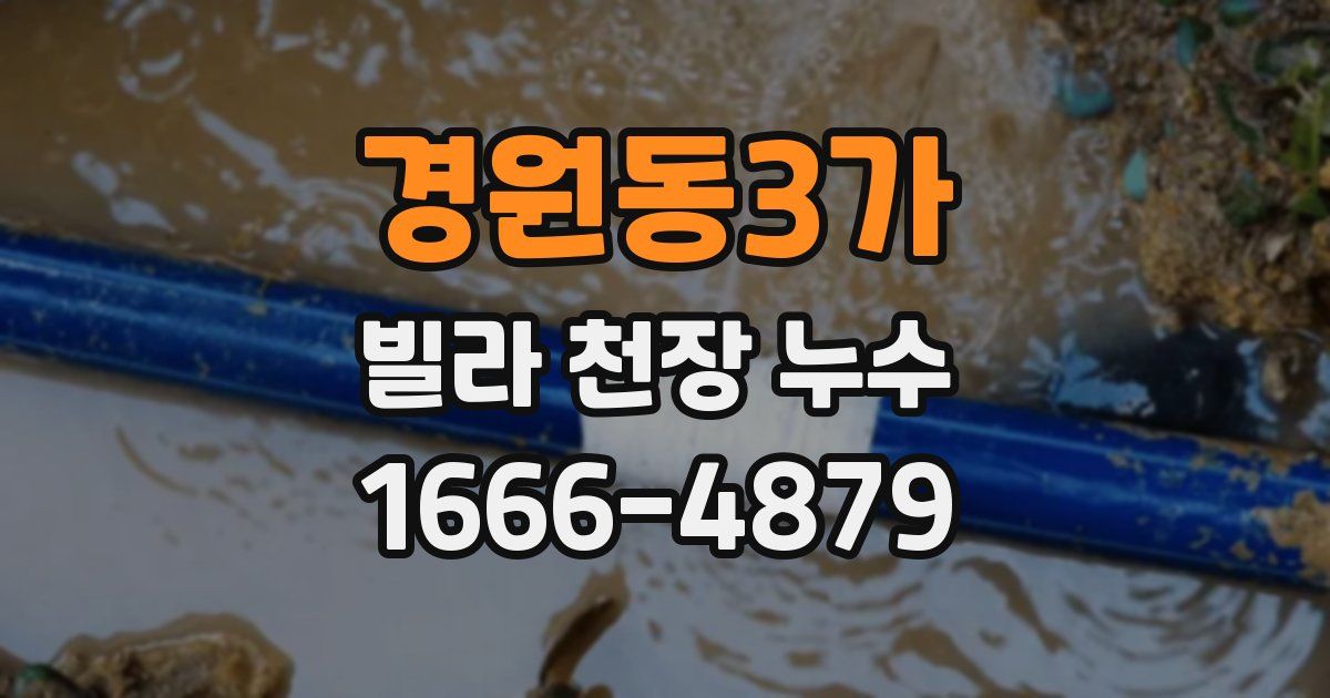 경원동3가 빌라 천장 누수