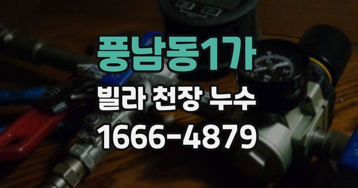 풍남동1가 빌라 천장 누수