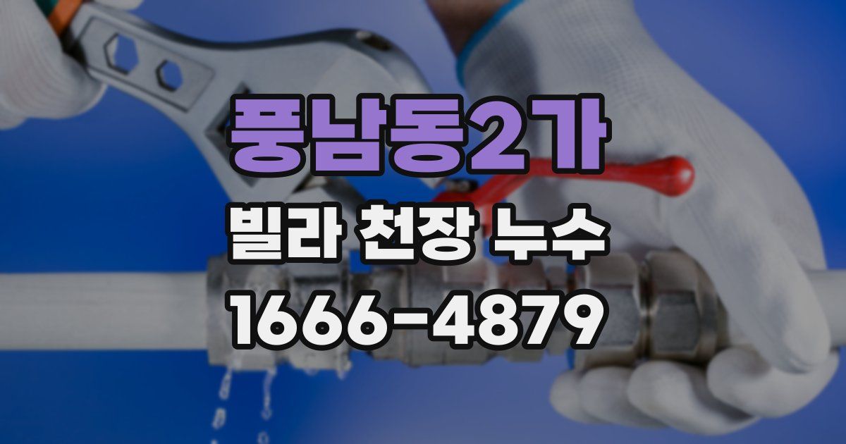 풍남동2가 빌라 천장 누수