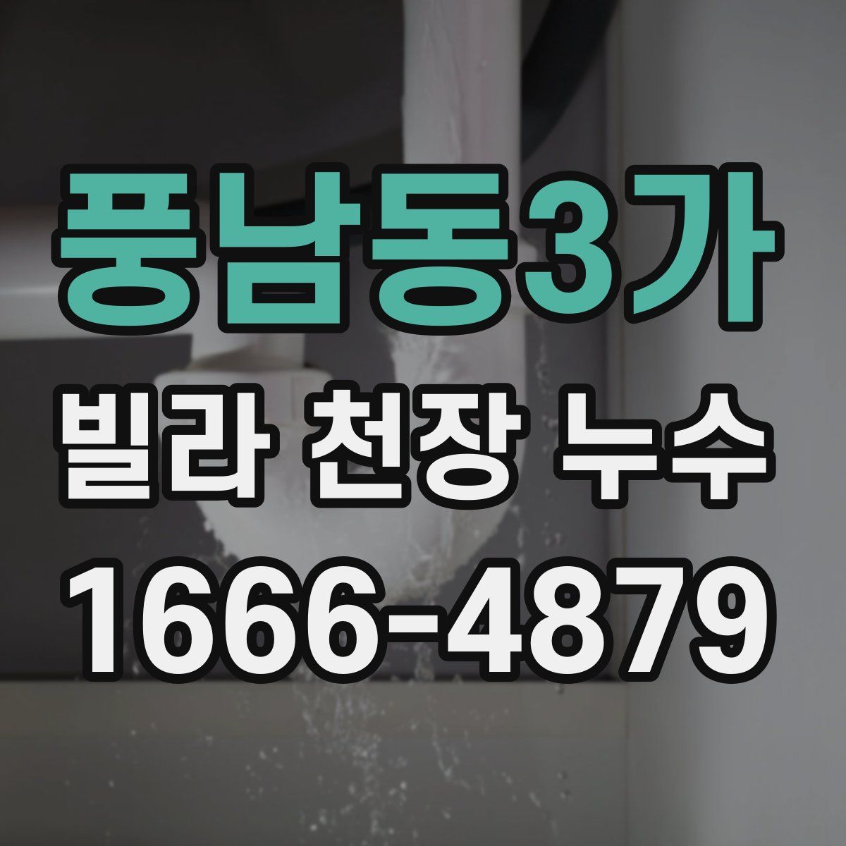 풍남동3가 빌라 천장 누수
