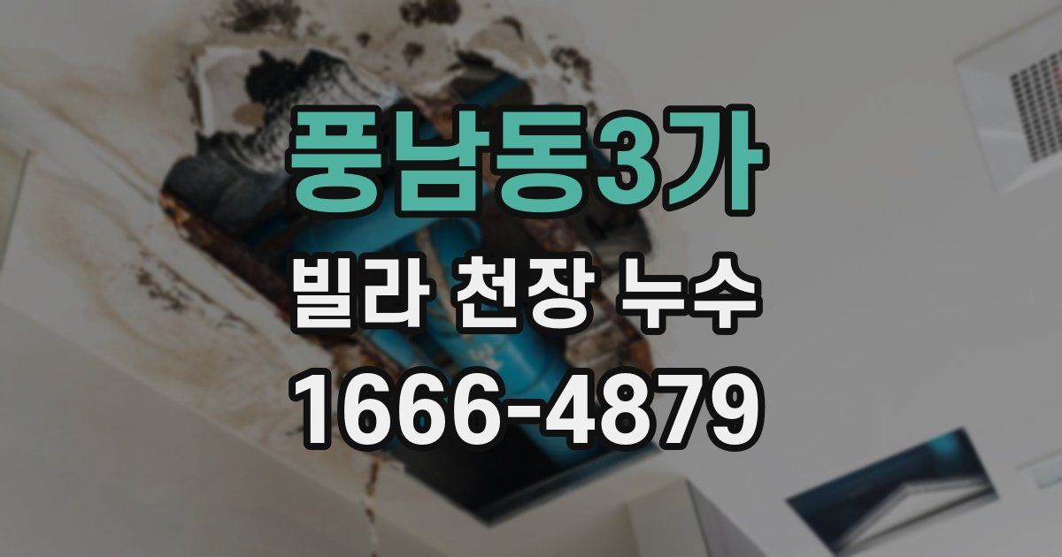 풍남동3가 빌라 천장 누수