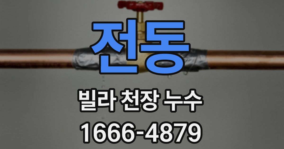 전동 빌라 천장 누수