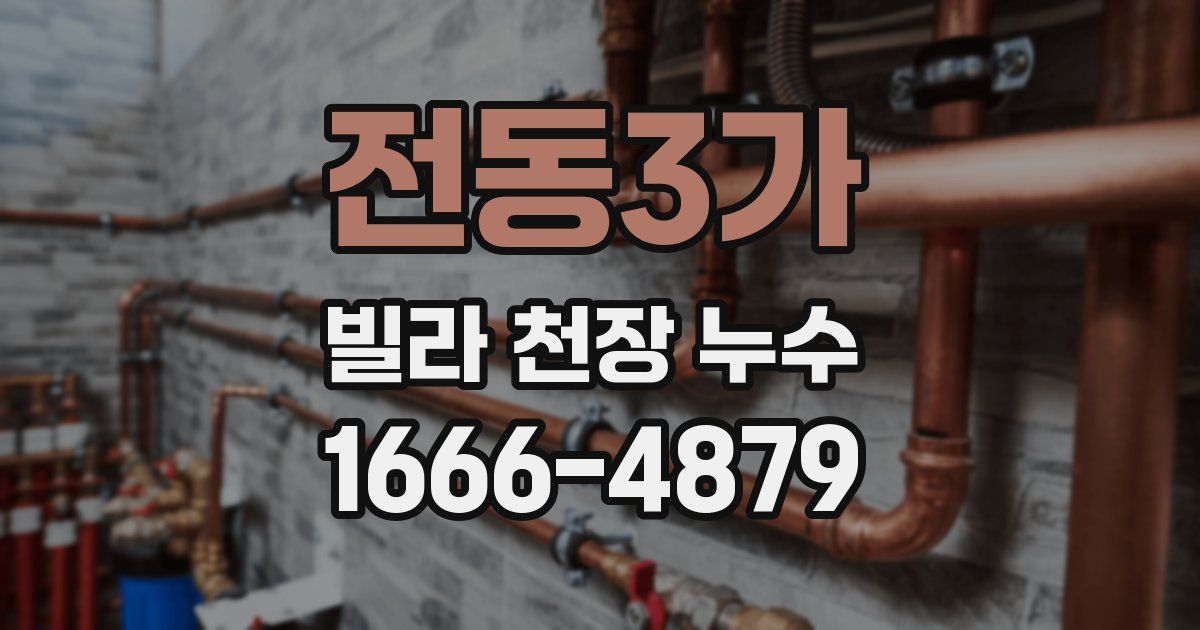 전동3가 빌라 천장 누수