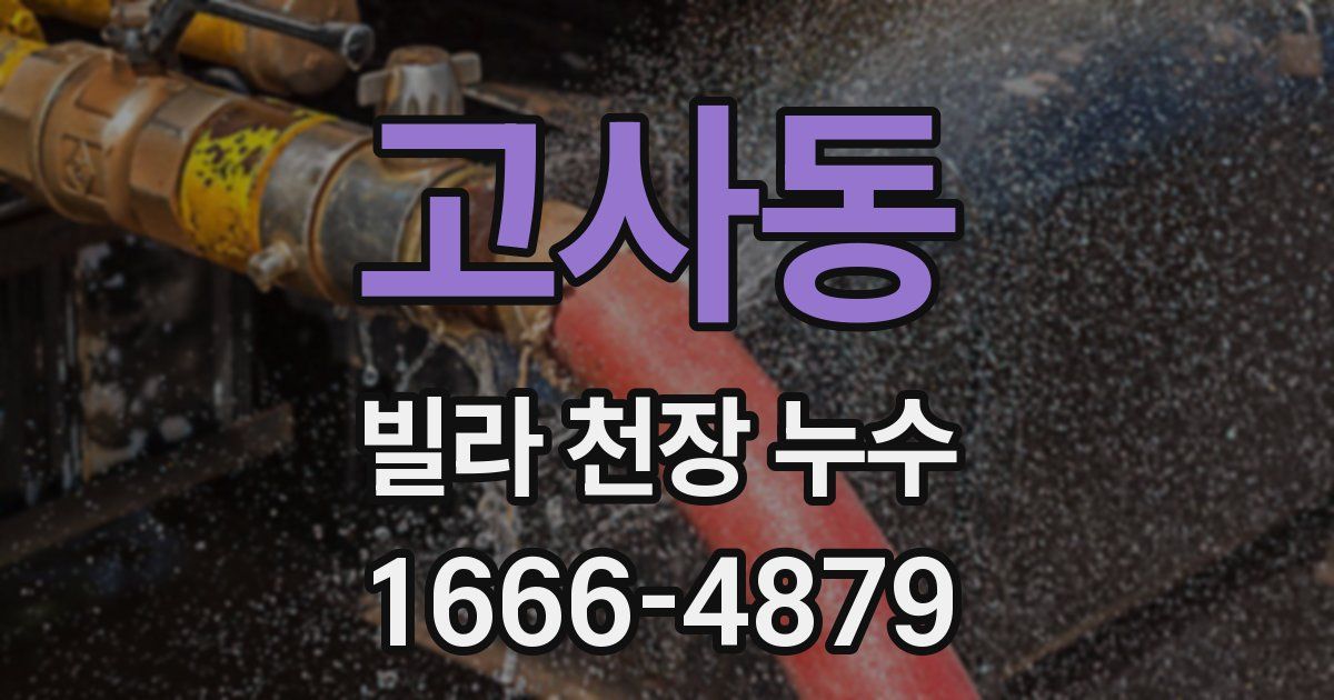고사동 빌라 천장 누수