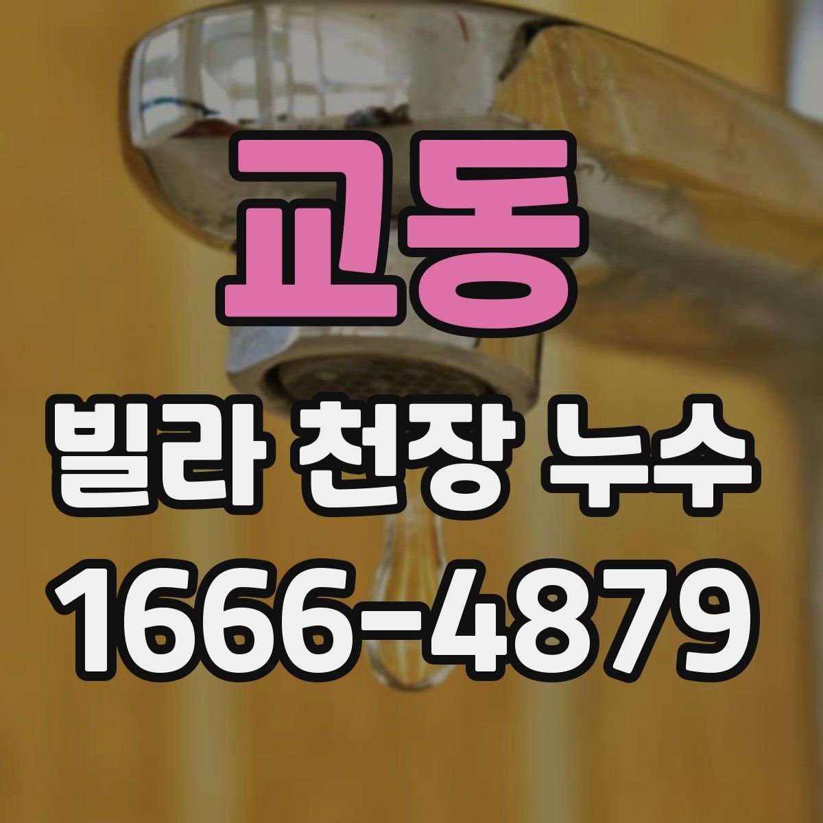교동 빌라 천장 누수