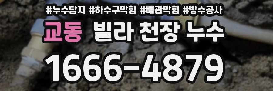 교동 빌라 천장 누수
