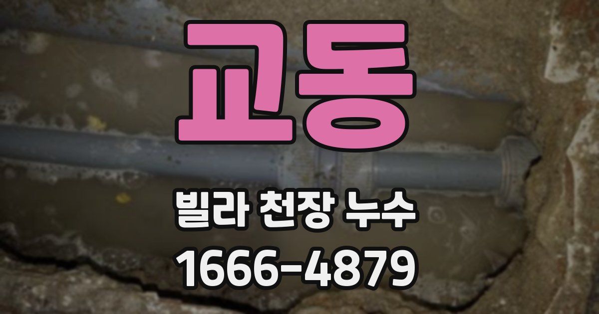교동 빌라 천장 누수