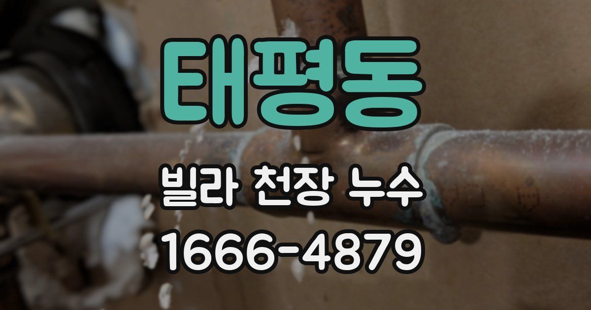 태평동 빌라 천장 누수