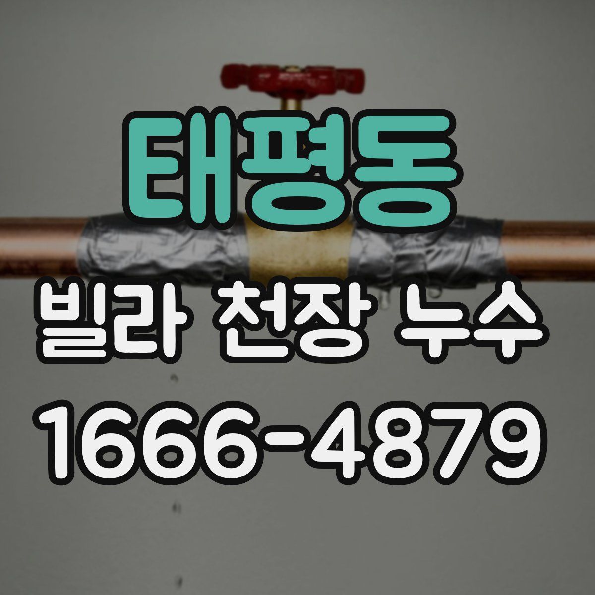 태평동 빌라 천장 누수