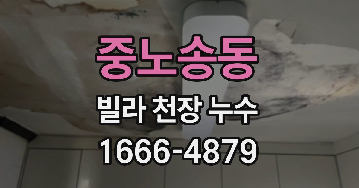 중노송동 빌라 천장 누수